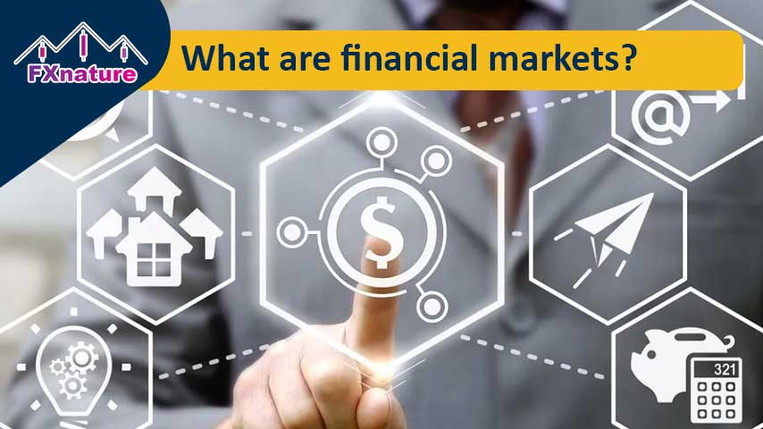 What are financial markets