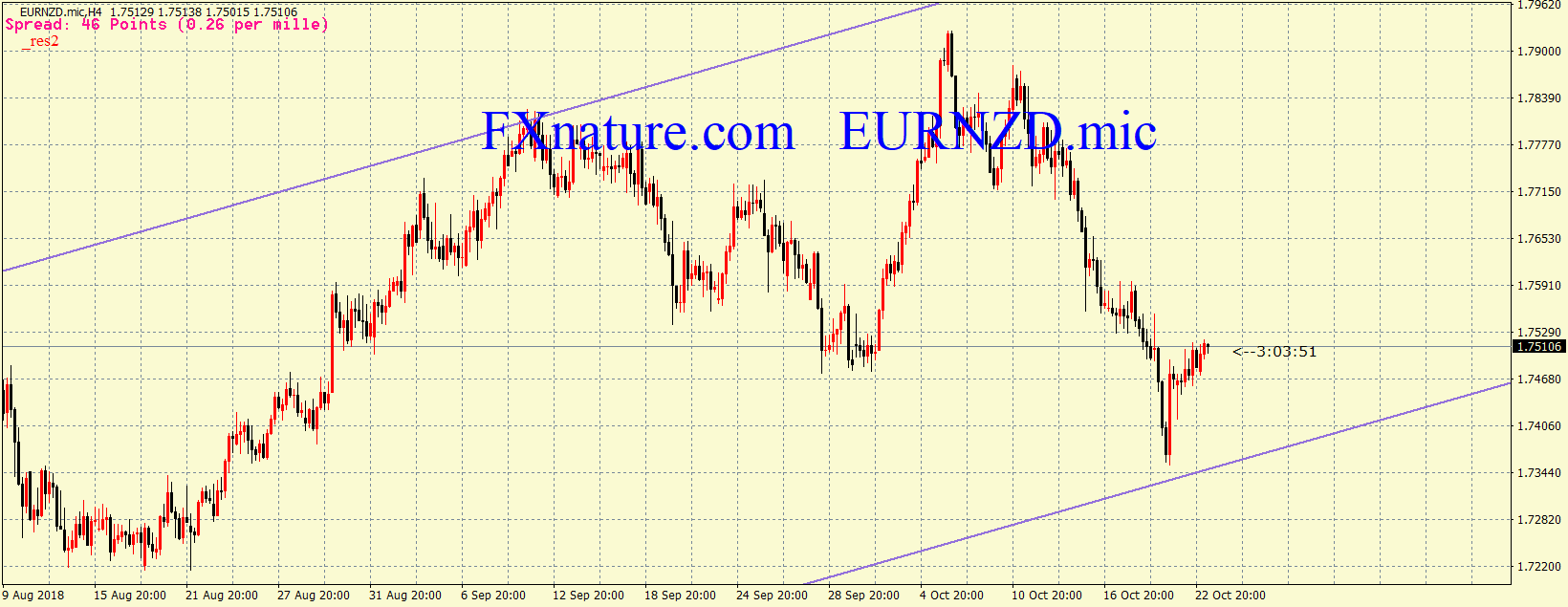  یورو دلار نیوزلند