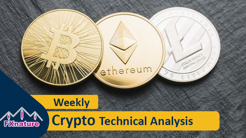 Crypto technical Analysis weekly